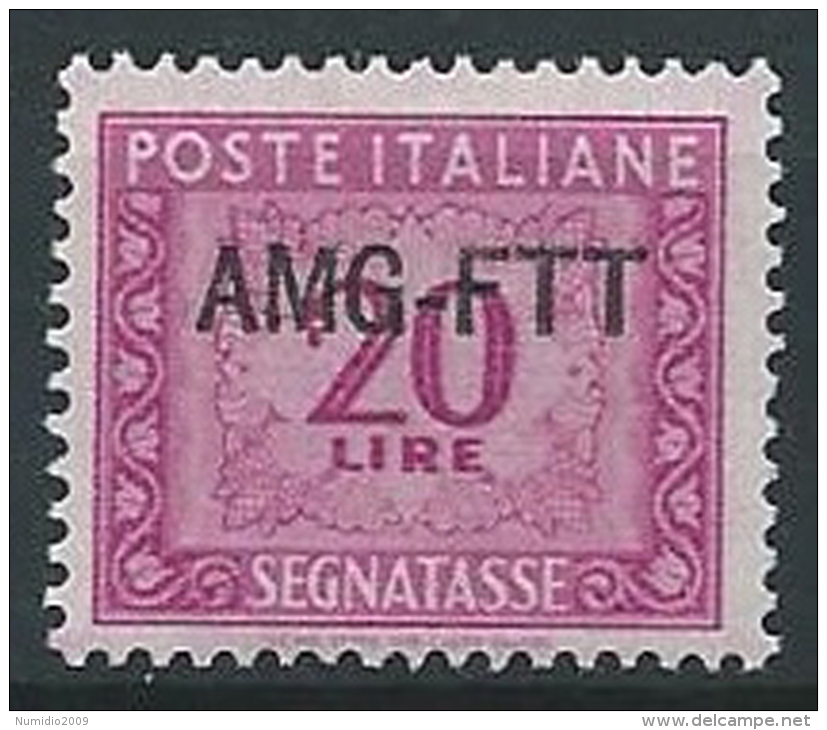 1949-54 TRIESTE A SEGNATASSE 20 LIRE MNH ** - ED090-2 - Taxe