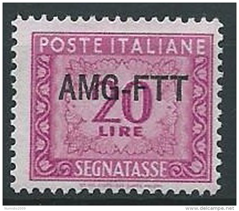 1949-54 TRIESTE A SEGNATASSE 20 LIRE MNH ** - ED090-4 - Taxe