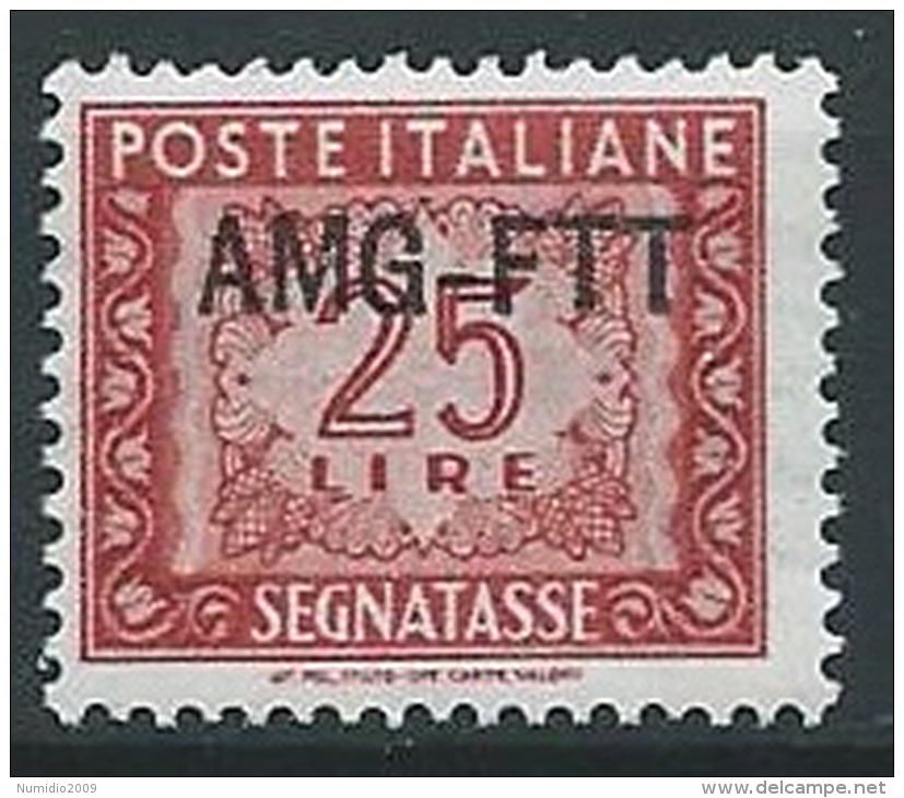 1949-54 TRIESTE A SEGNATASSE 25 LIRE MNH ** - ED090-5 - Taxe