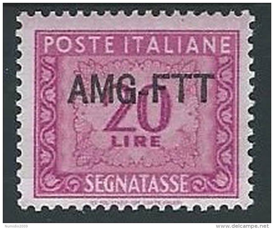 1949-54 TRIESTE A SEGNATASSE 20 LIRE MH * - ED091 - Postage Due