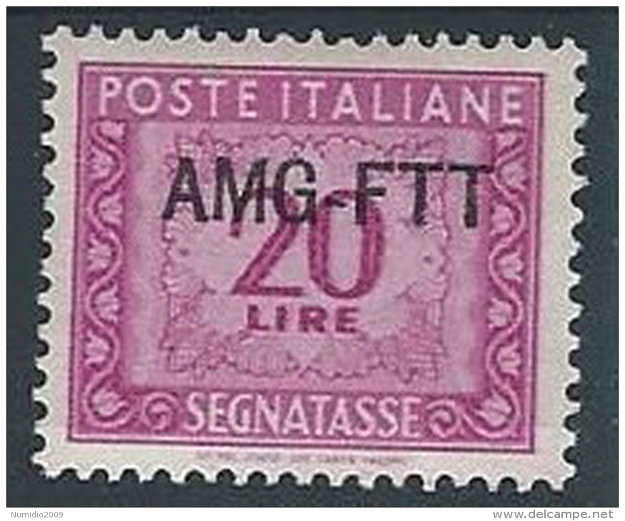 1949-54 TRIESTE A SEGNATASSE 20 LIRE MH * - ED091-4 - Strafport