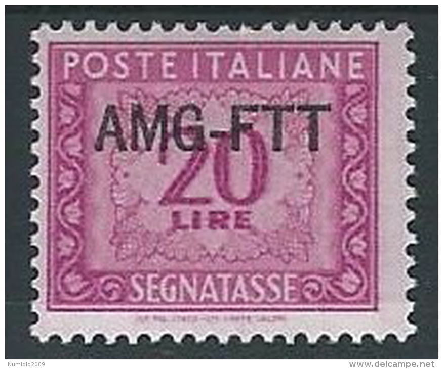 1949-54 TRIESTE A SEGNATASSE 20 LIRE MH * - ED091-6 - Strafport