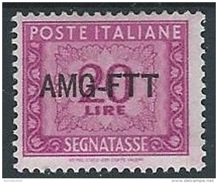 1949-54 TRIESTE A SEGNATASSE 20 LIRE MH * - ED092 - Postage Due