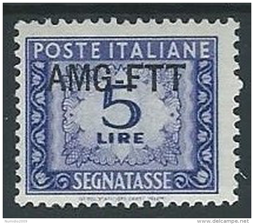 1949-54 TRIESTE A SEGNATASSE 5 LIRE MH * - ED093-4 - Taxe