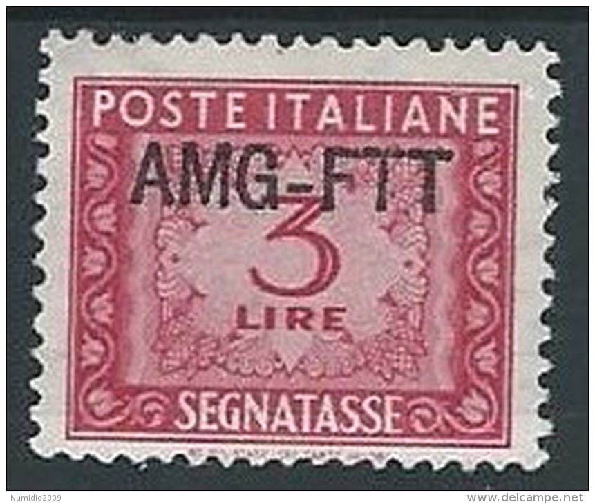 1949-54 TRIESTE A SEGNATASSE 3 LIRE MH * - ED096-11 - Taxe