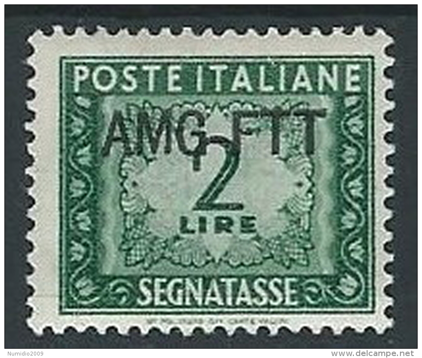 1949-54 TRIESTE A SEGNATASSE 2 LIRE MH * - ED096 - Strafport