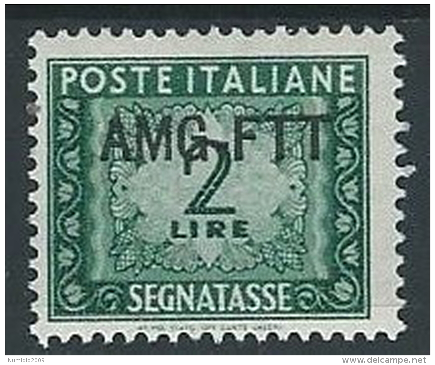 1949-54 TRIESTE A SEGNATASSE 2 LIRE MH * - ED096-3 - Postage Due