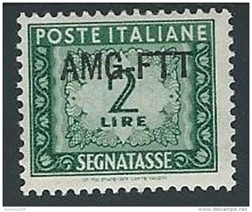 1949-54 TRIESTE A SEGNATASSE 2 LIRE MH * - ED097-3 - Taxe