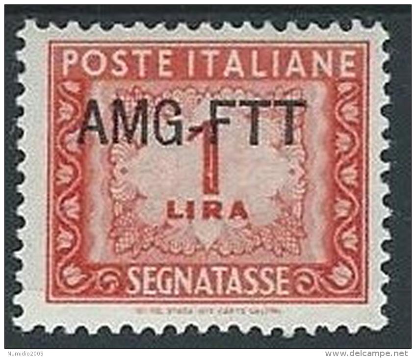 1949-54 TRIESTE A SEGNATASSE 1 LIRA MH * - ED097-2 - Strafport