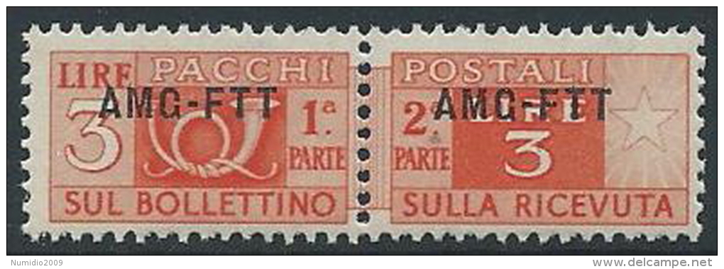 1949-53 TRIESTE A PACCHI POSTALI 3 LIRE MNH ** - ED097 - Postal And Consigned Parcels