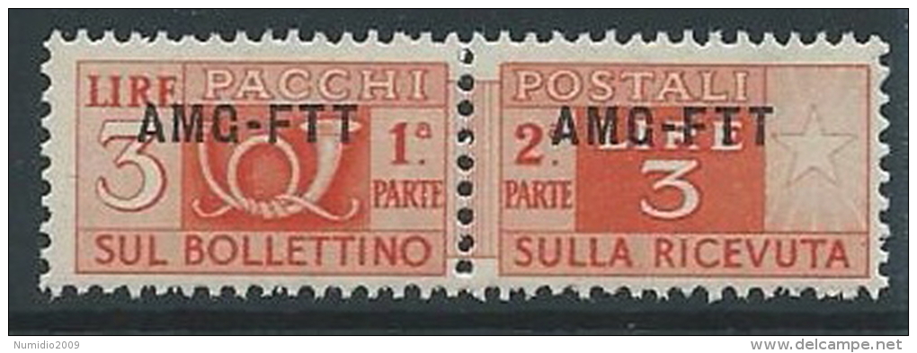 1949-53 TRIESTE A PACCHI POSTALI 3 LIRE MNH ** - ED097-3 - Postal And Consigned Parcels