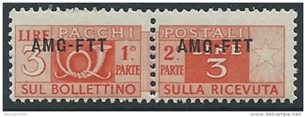 1949-53 TRIESTE A PACCHI POSTALI 3 LIRE MNH ** - ED098-4 - Postal And Consigned Parcels