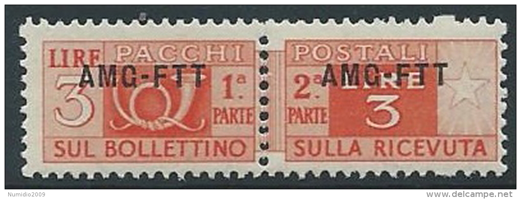 1949-53 TRIESTE A PACCHI POSTALI 3 LIRE MNH ** - ED100-4 - Postal And Consigned Parcels