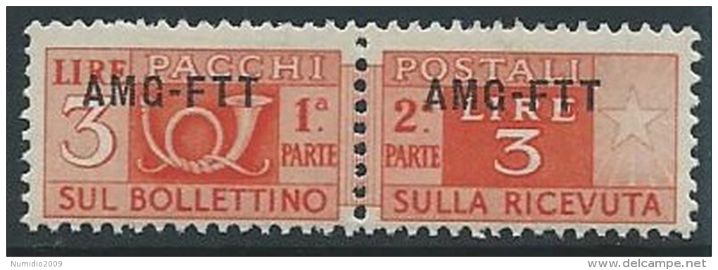 1949-53 TRIESTE A PACCHI POSTALI 3 LIRE MNH ** - ED101-2 - Postpaketen/concessie