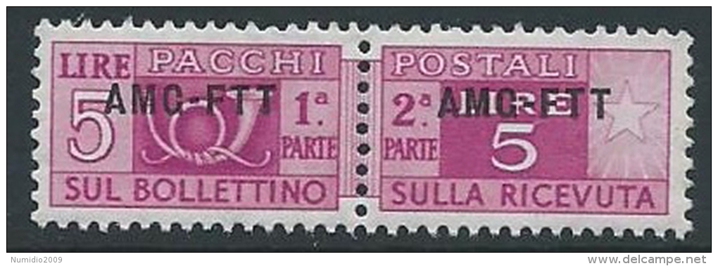 1949-53 TRIESTE A PACCHI POSTALI 5 LIRE MNH ** - ED102-8 - Postal And Consigned Parcels