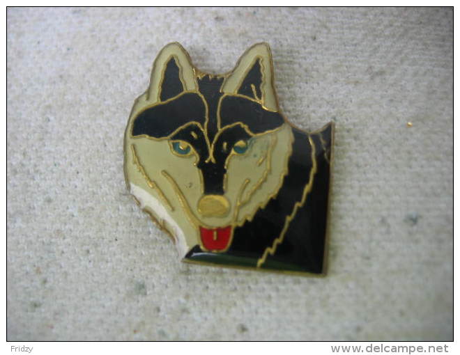 Pin´s Portrait Chien HUSKY - Animaux