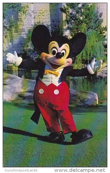 Florida Orlando Mickeky Mouse Walt Disney World - Orlando