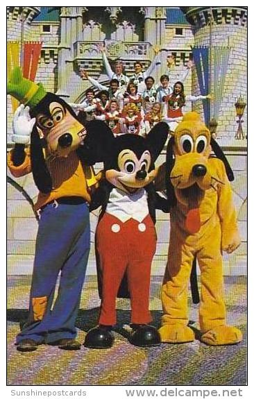 Florida Orlando Goofy Mickey And Pluto Pose Walt Disney World Disneyana - Orlando