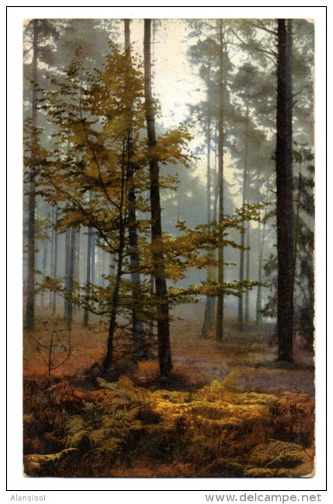 Paysages  Modèles Pour Peindre .1900     Forêt - Autres & Non Classés