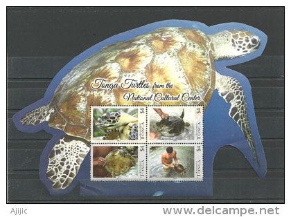 Les Tortues Marines Des Iles Tonga (Océanie). Un BF Neuf ** Hautes Faciales $ 16,00 ., Emission 2013 - Autres & Non Classés