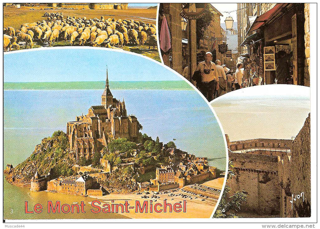 LE MONT SAINT MICHEL - MULTI VUES - Le Mont Saint Michel