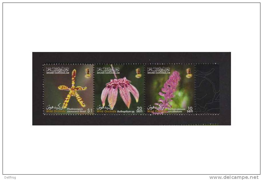 Brunei 2010 Wild Orchids Set MNH - Brunei (1984-...)