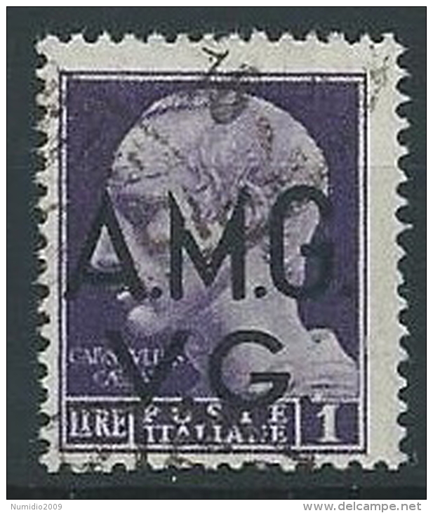 1945-47 TRIESTE AMG VG USATO LUOGOTENENZA 1 LIRA - ED176-2 - Usados