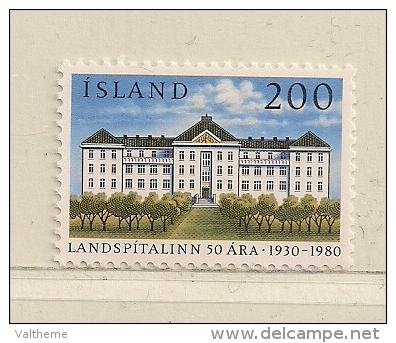 ISLANDE  ( EUIS - 71 )  1980   N° YVERT ET TELLIER  N° 514   N** - Unused Stamps