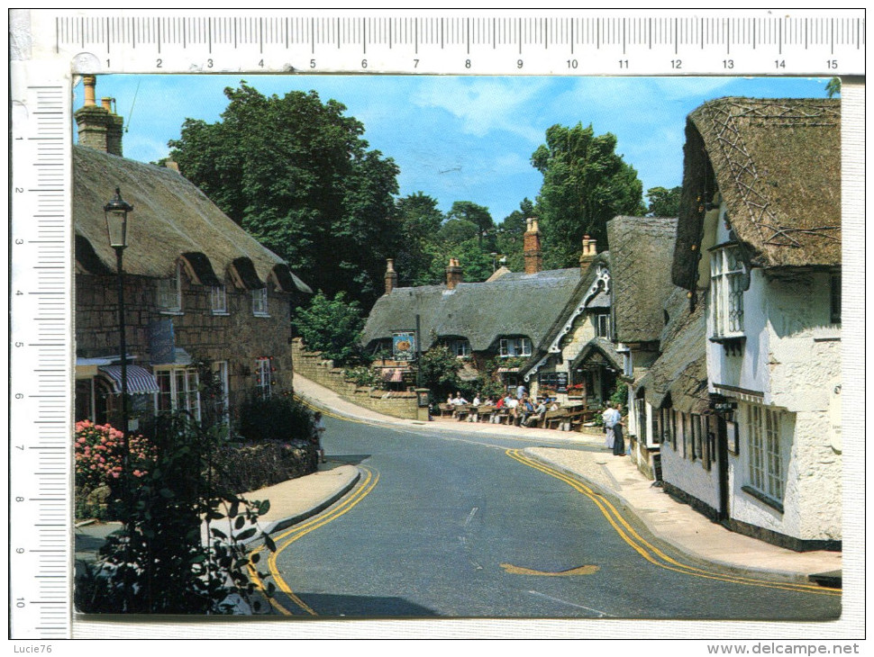 SHANKLIN -   ISLE  Of   WIGHT   -  The Old  Village - Autres & Non Classés