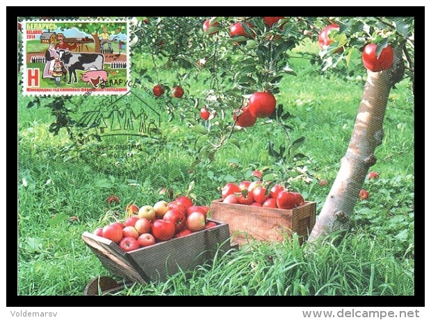 Maxicard Belarus 2014 Mih. 1005 Year Of Family Farm. Apples - Belarus