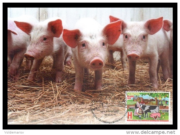 Maxicard Belarus 2014 Mih. 1005 Year Of Family Farm. Piglets - Belarus