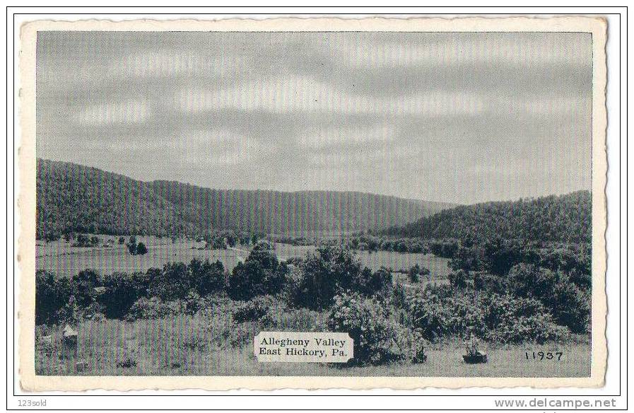 Allegheny Valley, East Hickory, Pennsylvania , 20-30s - Other & Unclassified