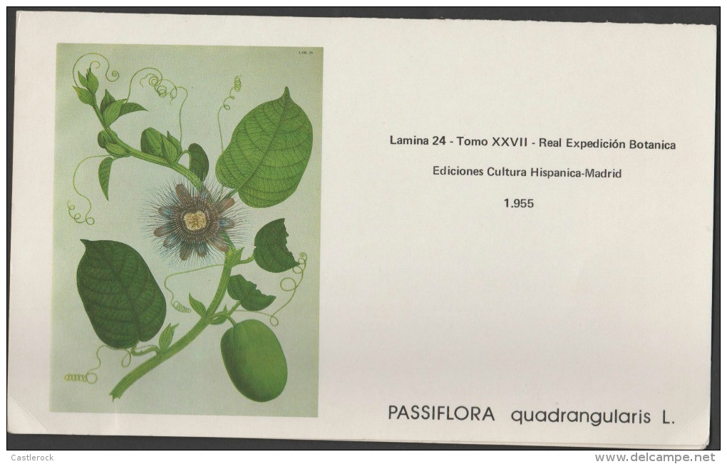 O) 1981 COLOMBIA, FOLDER, SET STAMPS-FRUITS, PASSSIFLORA-PLANT, XF - Colombia