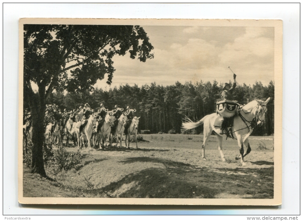 Ersatzkommando Flandern Waffen SS - Antwerpen, Anvers WW2 - Oorlog 1939-45