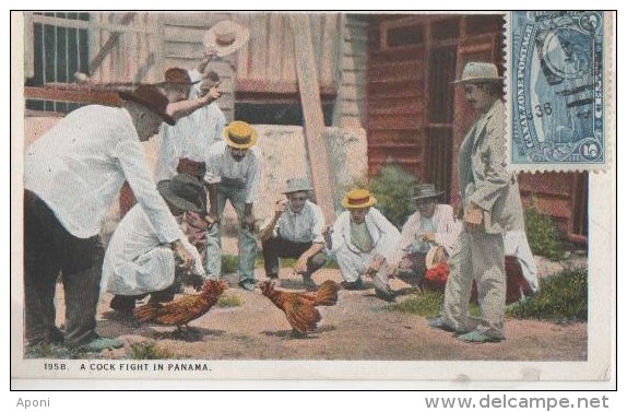 COMBAT DE COQ . Carte Rare - Panama