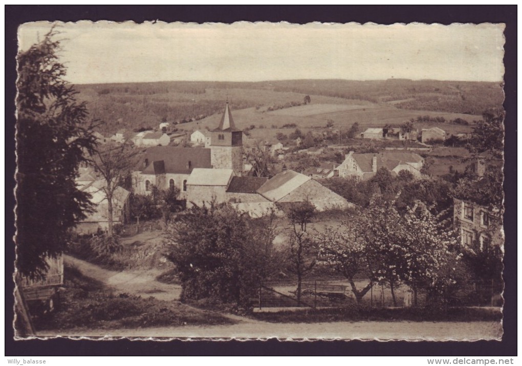 DOCHAMPS - Panorama Du Village Vu De "Dizeu L'veye"- Cachet Relais 1954  // - Manhay