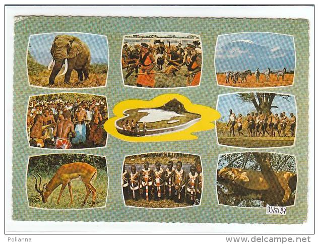 PO7197# EST AFRICA - TANZANIA KENYA UGANDA - ANIMALI - DANZE E TRIBU'   VG - Tanzania