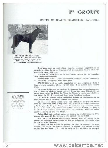 LIVRE D´OR DU CHIEN Races Françaises Et Etrangères - Société Centrale Canine - Edition 1972 - Animaux