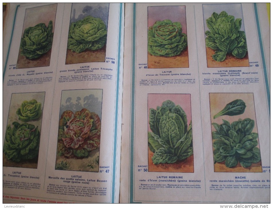 Catalogue/Guide Illustré de Semis/ Graines en sachets pour jardin " Le Paysan"/ Jules BLANC/AVIGNON/1939   CAT57