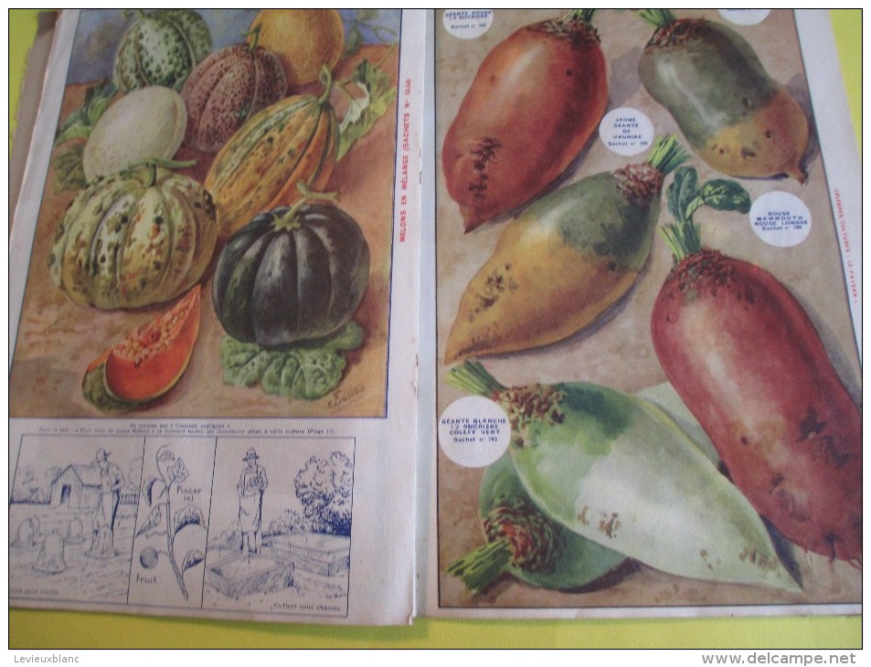 Catalogue/Guide Illustré de Semis/ Graines en sachets pour jardin " Le Paysan"/ Jules BLANC/AVIGNON/1939   CAT57