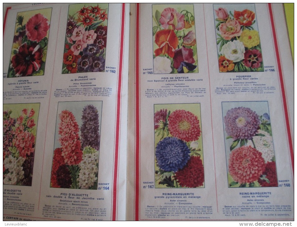 Catalogue/Guide Illustré de Semis/ Graines en sachets pour jardin " Le Paysan"/ Jules BLANC/AVIGNON/1939   CAT57