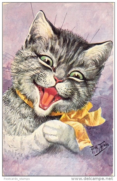 Katze, Katzenportrait, Sign. Arthur Thiele, 1910 - Thiele, Arthur