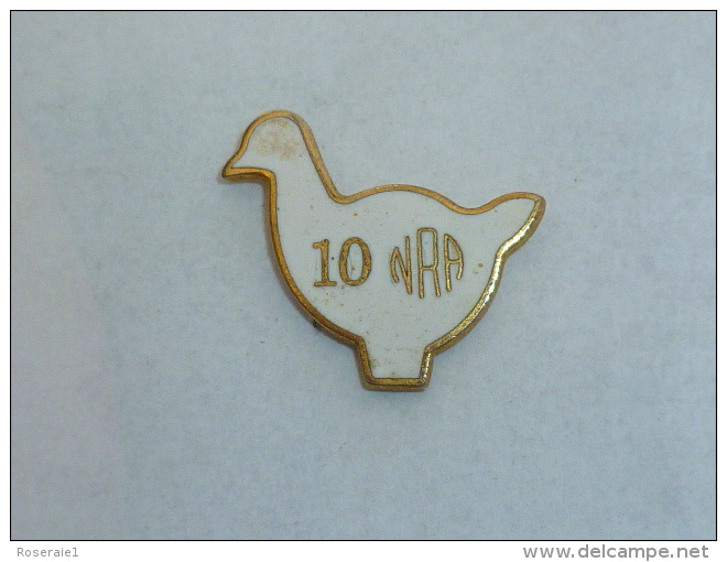 Pin's OISEAU NRA - Animals