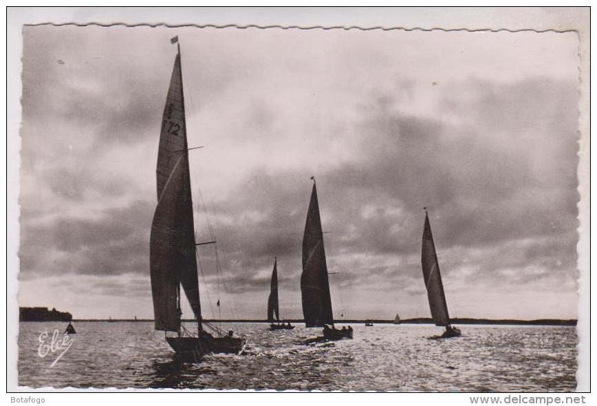 CPM ARCACHON, CONTRE JOUR SUR LES REGATES - Segelboote