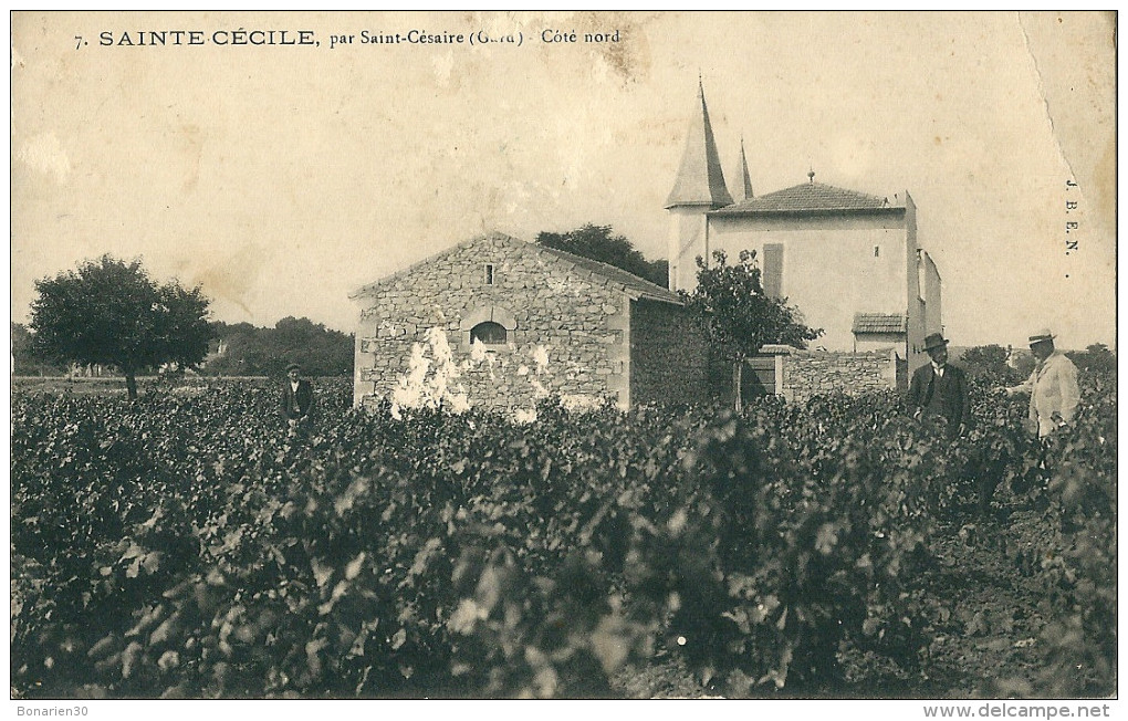 CPA 30  SAINT CESAIRE  DOMAINE SAINTE -CECILE  COTE NORD  VIGNES - Other & Unclassified