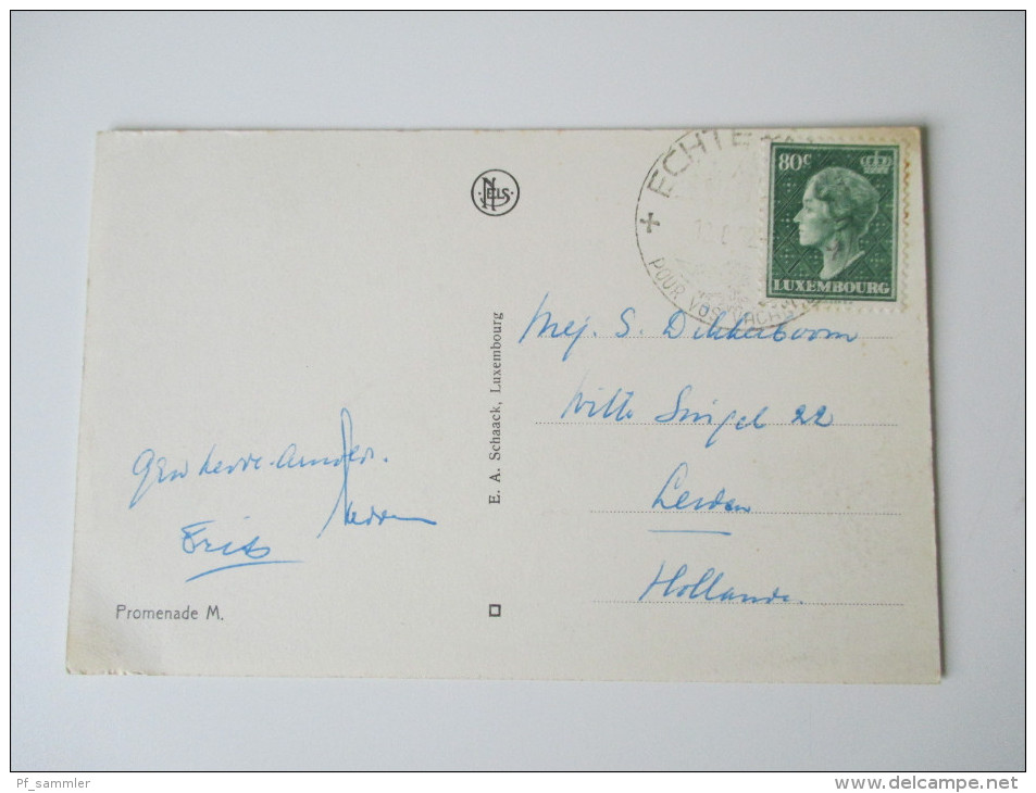 AK / Bildpostkarte Luxembourg 1952 Petite Suisse Luxembourgeoise. Müllerthal. Schiessentümpel. Promenade M. - Muellerthal