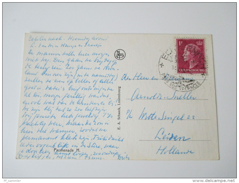 AK / Bildpostkarte Luxembourg 1952 Petite Suisse Luxembourgeoise. Le Hallerbach - Sonstige & Ohne Zuordnung