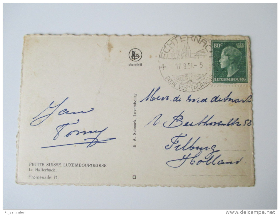 AK / Bildpostkarte Luxembourg 1951 Petite Suisse Luxembourgeoise. Le Hallerbach - Sonstige & Ohne Zuordnung