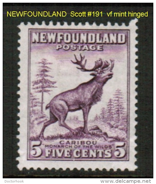 NEWFOUNDLAND   Scott  # 191*  F-VF MINT HINGED - 1908-1947