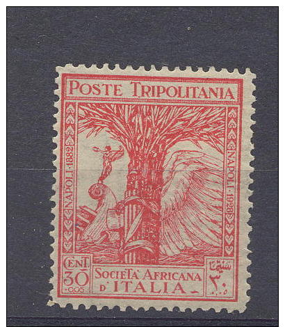 Tripolitania Società Africana Cent. 30 - Tripolitania